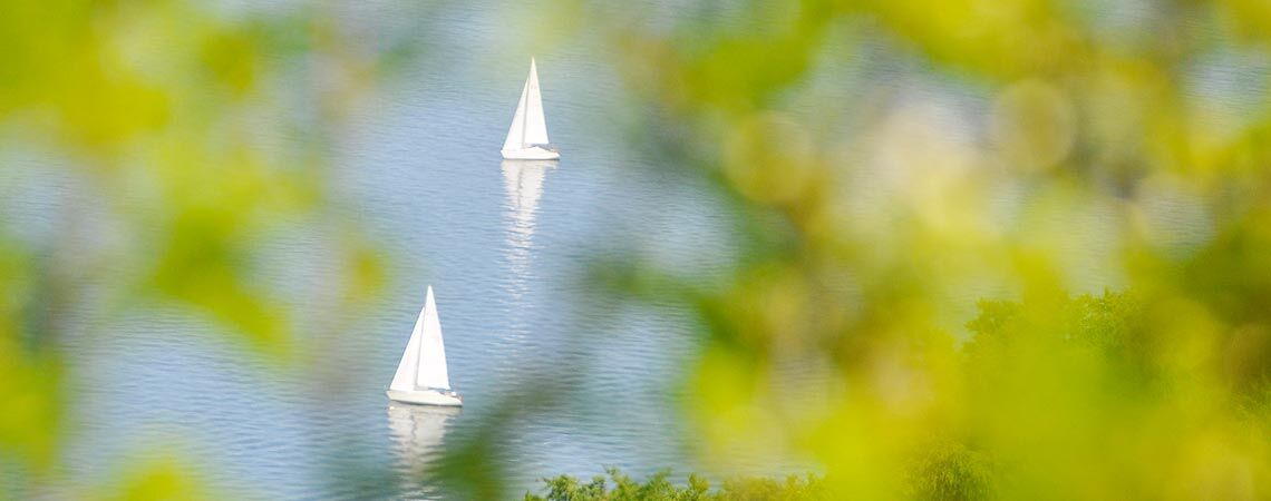 Bodensee - 2 Segelboote